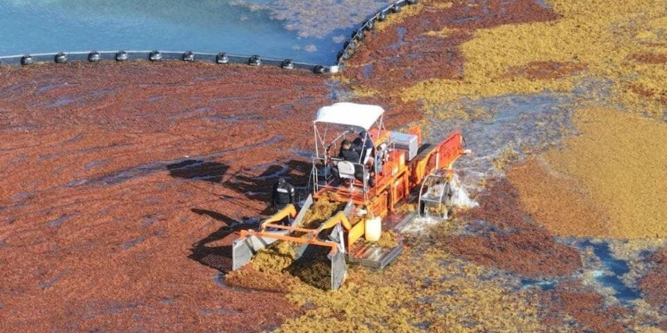 H8-350 Aquamarine Skimmer Boat